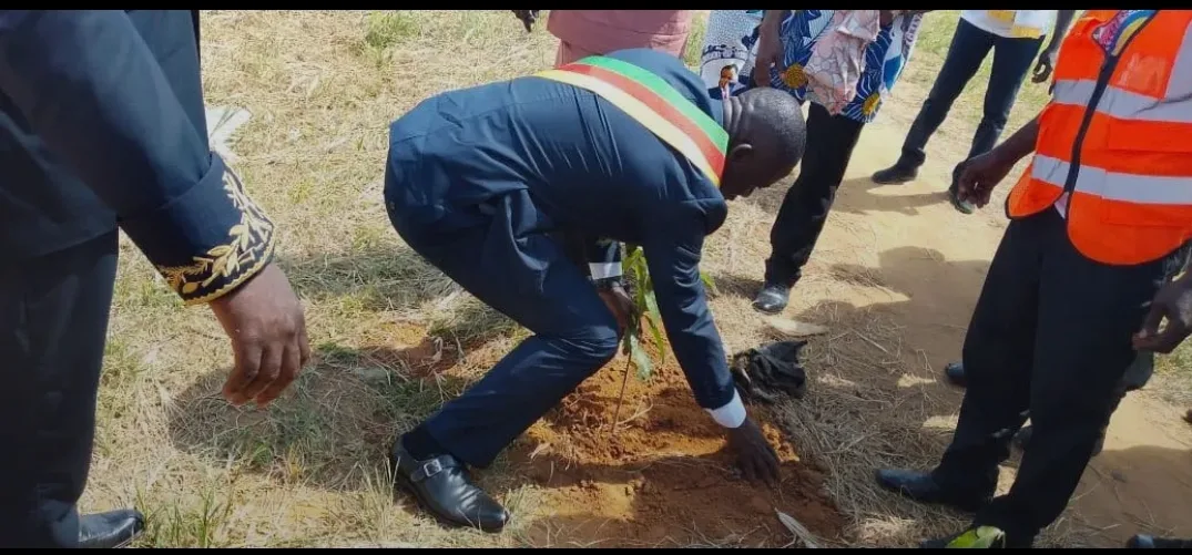Mayor Daniel Matta Mokambe planting the symbolic Peace tree in Mbonge Marumba on the 20th May, 2026